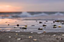 Strandgut von freakarellasfotografie