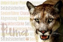 Puma - Schöpft Kraft im Alleinsein by Astrid Ryzek