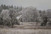 Winterlandschaft mit altem Bauernhaus und Raureif bei Stockach im Hegau II von Christine Horn