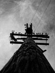 electrical_tower by Frank Kiesel