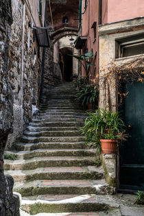 Streets of Vernazza by Jarek Blaminsky