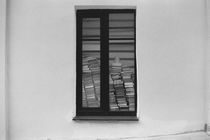 Books in the window by Denis Borodin