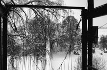 Winter bridge by Denis Borodin