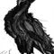 Some-kind-of-black-ish-bird-by-bombadere-d6eoei9-fullview