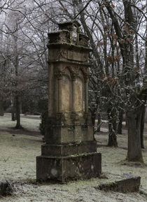 Grabstein im Winter von Thomas Schulz