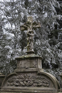 Winterliches Grab von Thomas Schulz
