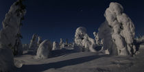 Eisskulpturen im Mondlicht von Bernd Pröschold