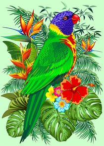 Rainbow Lorikeet Parrot Art by bluedarkart-lem