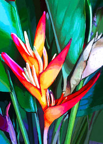 Heliconia Close Up Digital Painting von bluedarkart-lem