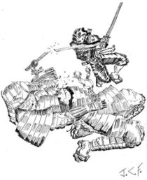 Ninja vs. Samurai  by Joel Furches