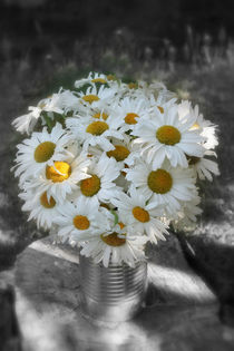 Hello daisies von Kamala Bright