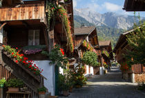 Swiss village. by Kamala Bright