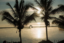 Der exotische Traum. Palmen, Wasser, Sonne. Inle-See. Myanmar. by Hartmut Binder