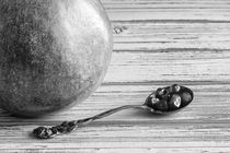 Pomegranate and Seeds BW by Elisabeth  Lucas