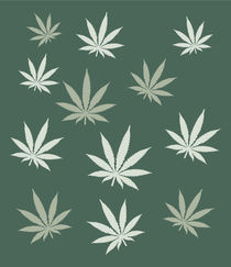 Marihuana Cannabis Gras by captain