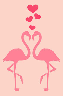 Flamingo Liebe by captain