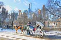 Kutsche im winterlichen Central Park in New York von Rainer Grosskopf