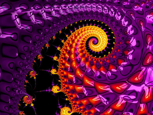 Purple-and-gold-vibrancy