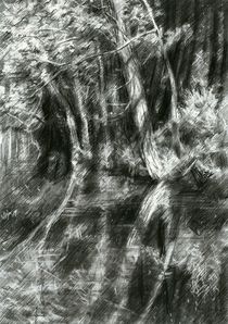 The Hague forest - 23-06-15 von Corne Akkers