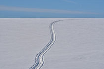 Spur im Schnee / trail von Peter Bergmann