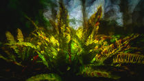 Artistic Ferns by Colin Metcalf
