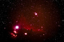 Pferdekopfnebel im Orion - B 33 - echte Farben, echte Sterne von Sandra Janzen