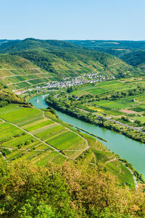 Mosel bei Neef 35 by Erhard Hess