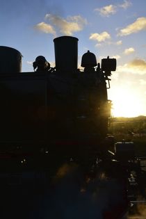 Alte Lokomotive von Claudia Evans