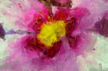 Pinkes Blumenleben by Ingo Menhard