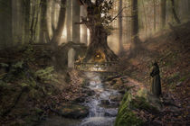 Der Wächter des geheimen Waldes von Simone Wunderlich