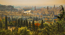 'Verona Panorama' von Colin Metcalf