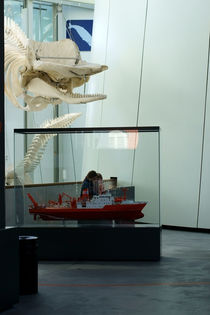 Walfänger von Bastian  Kienitz