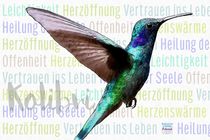 Kolibri - Vertrauen ins Leben von Astrid Ryzek