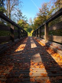 Herbstliche Brücke by Ronny Schmidt