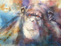 Chimp 2 by Thomas Habermann