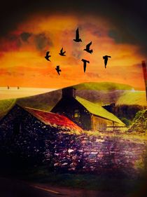 Romantisches Irland Cottage by susanne-seidel