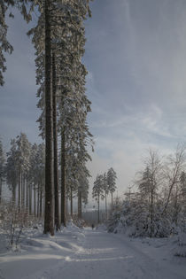 Winterlandschaft von Simone Rein