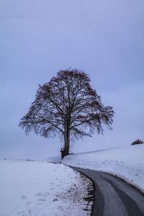 Winterlandschaft von Simone Rein