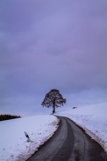 Winterlandschaft by Simone Rein