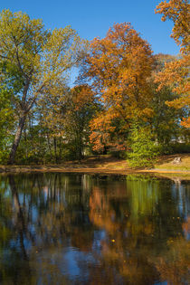 Herbstlicher Teich von Simone Rein