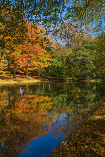 Herbstlicher Teich by Simone Rein