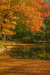Herbstlicher Teich von Simone Rein