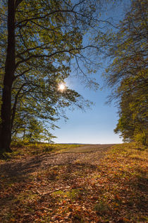 Herbstlandschaft by Simone Rein