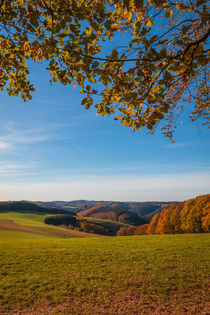 Herbstlandschaft von Simone Rein