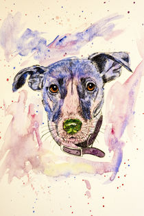 Funky Jack Russell Terrier by Malc McHugh