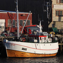 Mare Hanna B by k-h.foerster _______                            port fO= lio