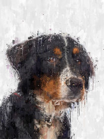 Dog Painting by Leonardo  Gerodetti