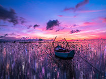 Purple Lake by Leonardo  Gerodetti