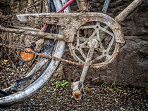 Gerettetes Fahrrad by Horst Hammerschmidt