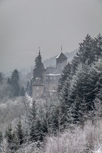 Burg Schnellenberg von Simone Rein